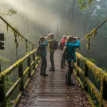 1767028011123_image_1767028010756